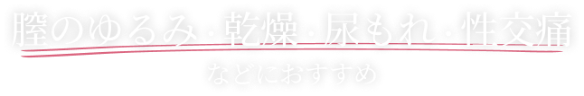 膣のゆるみ・乾燥・尿もれ・性交痛