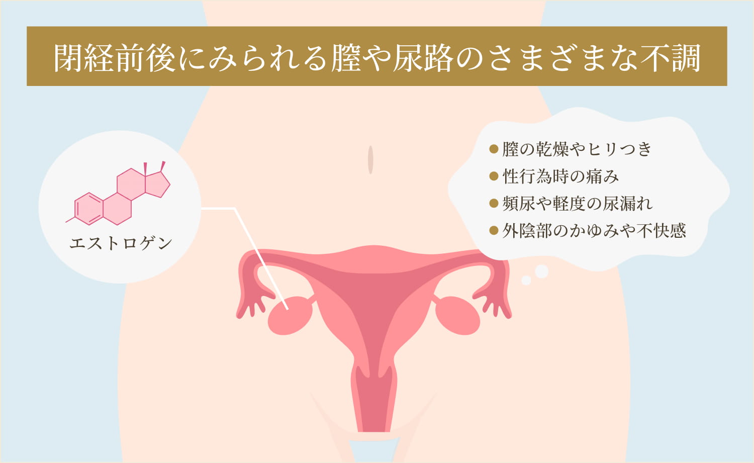 GSM（閉経関連泌尿生殖器症候群）による症状が気になる方へ