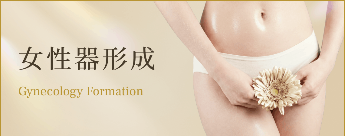 女性器形成